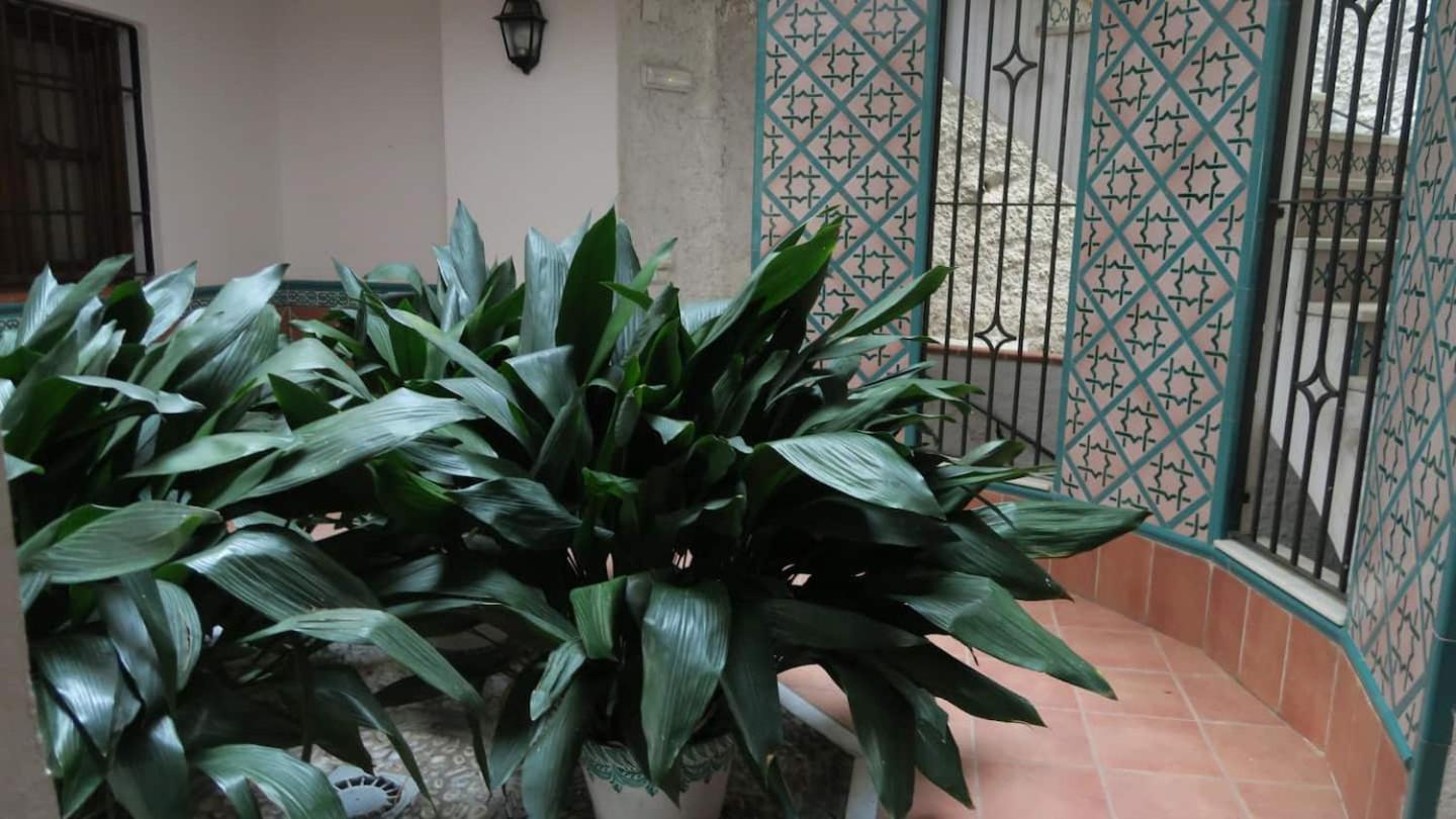 Charming Albaicin Patio Flat Free Onsite Parking Apartment Granada Exterior photo