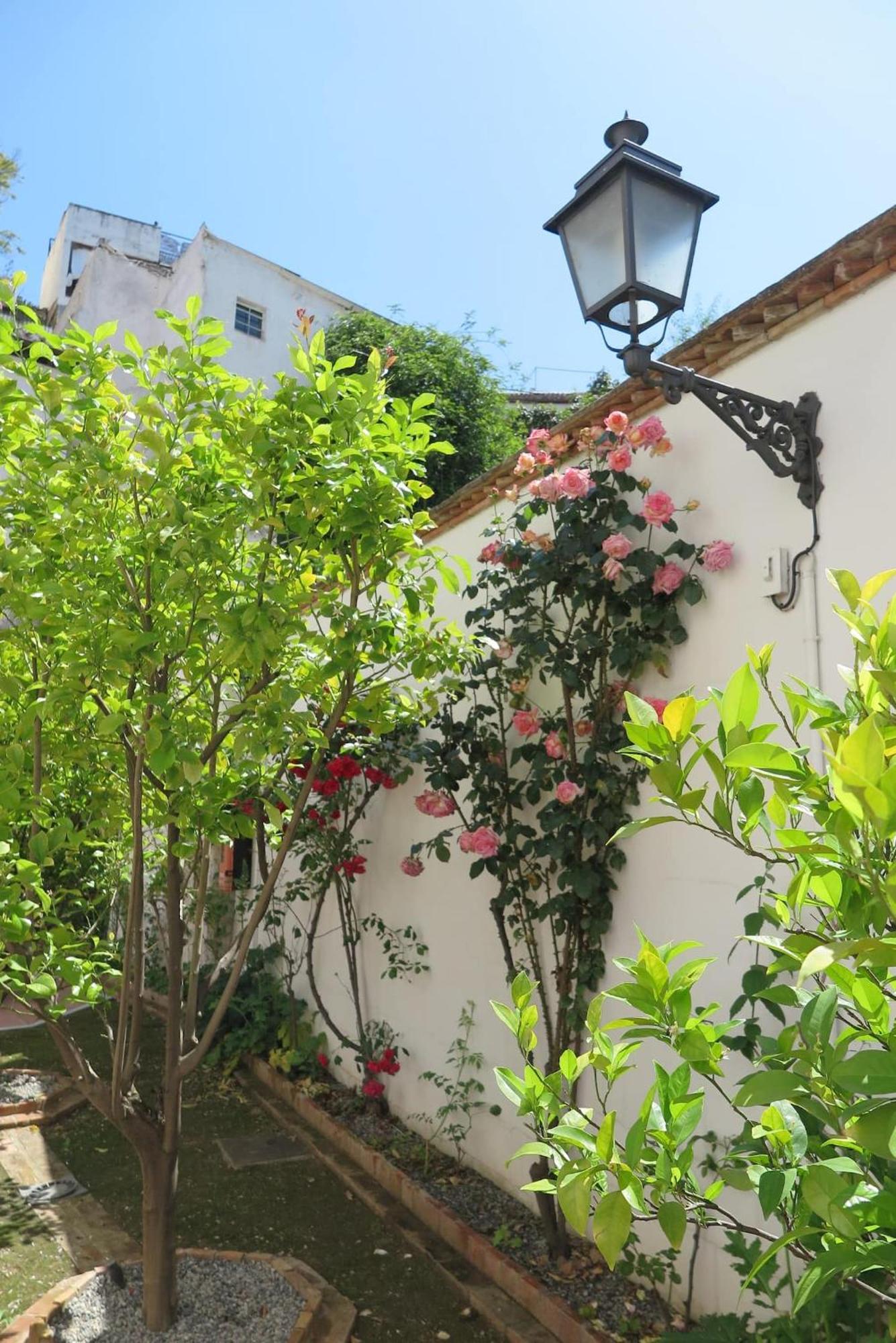 Charming Albaicin Patio Flat Free Onsite Parking Apartment Granada Exterior photo
