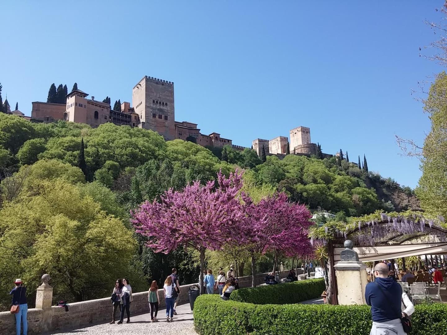 Charming Albaicin Patio Flat Free Onsite Parking Apartment Granada Exterior photo
